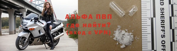 стаф Козловка