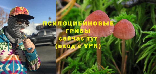 кокс Костерёво